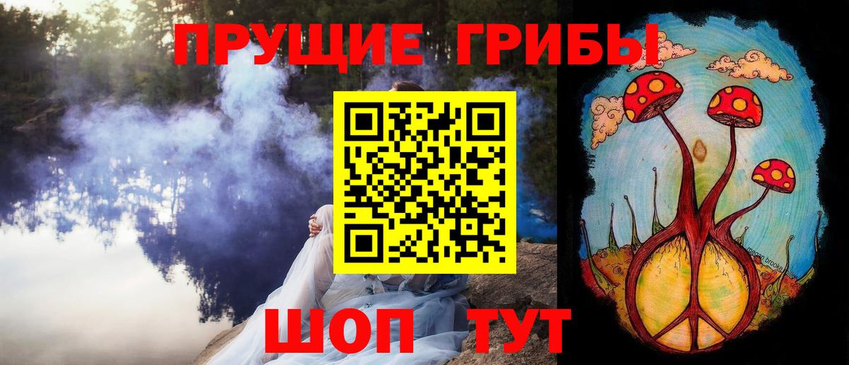 Псилоцибиновые грибы Cubensis Бирск